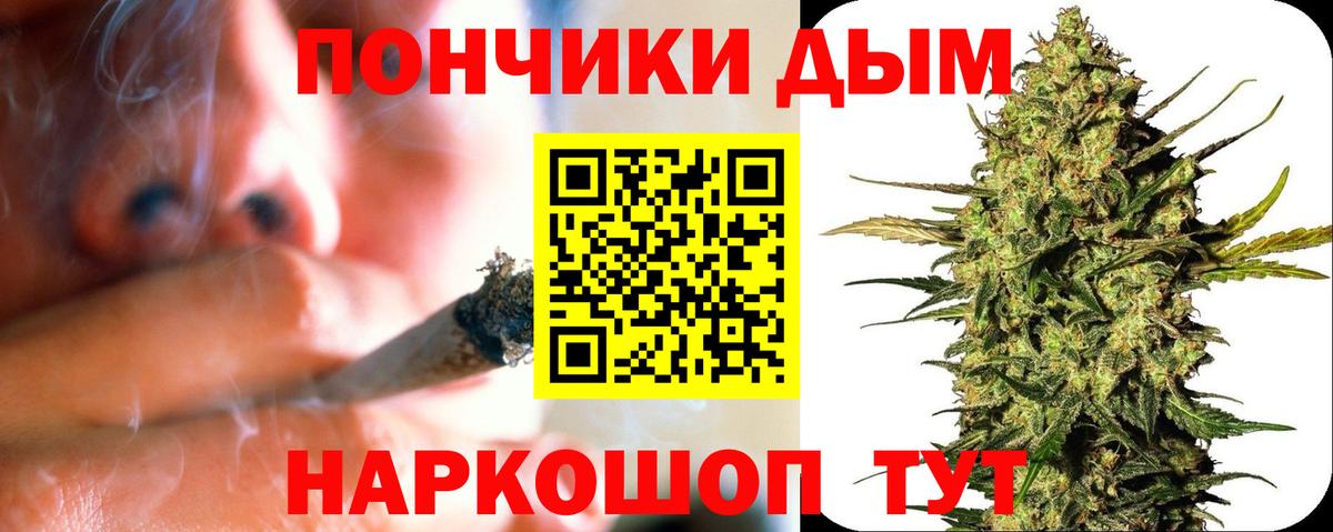 Миасс  Канабис планчик  Вход с VPN  Бошки марихуана конопля  МАРИХУАНА THC 21%  Конопля MAZAR 