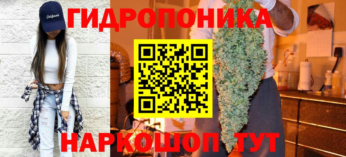 Каннабис OG Kush Миасс